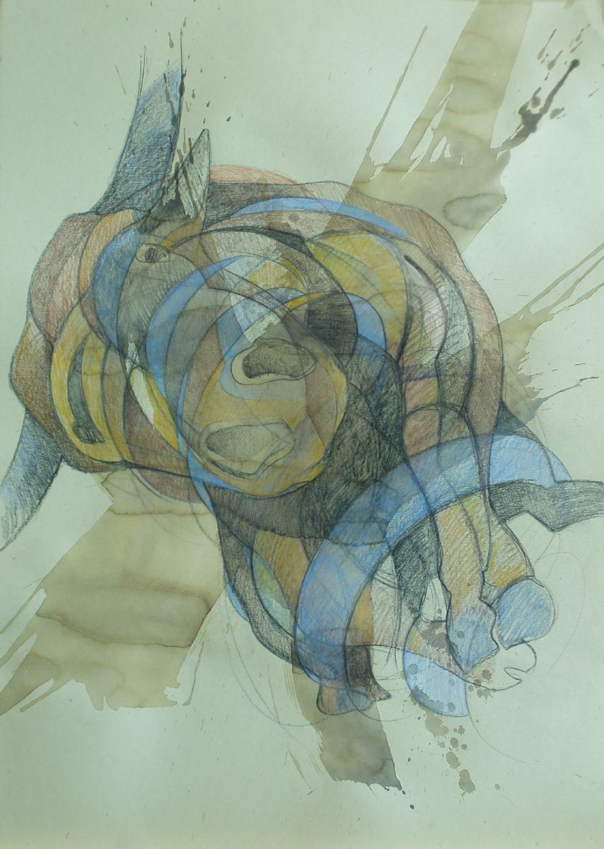 Stier — Giancarlo Bolzan